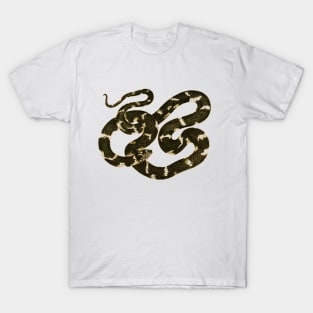 serpent,cobra,reptile,viper,venom,lizard,rattlesnake,king cobra T-Shirt